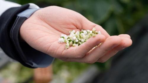 亚洲 国产 熟,国产熟品鉴之旅